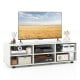 TV stand in white for TVs up to 55 inches, featuring 6 storage compartments and adjustable shelves for versatile.