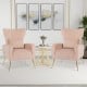 Pink velvet upholstered wingback chairs with lumbar pillows and golden metal legs, perfect for living rooms and.