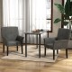 Two gray executive guest chairs with a modern design and a sturdy table, perfect for reception or dining areas.