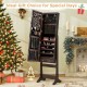 Lockable mirrored jewelry cabinet in brown with LED lights, featuring ample storage for rings and necklaces, ideal for.