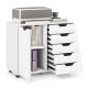 5-drawer mobile storage cabinet in white with side door, ideal for office supplies and printer, featuring rolling.