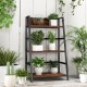 3-tier ladder industrial bookshelf with wooden shelves and metal frame, ideal for displaying plants and organizing.