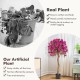 4.5 feet artificial azalea tree with red flowers in a cement pot, requires no maintenance, perfect for indoor.