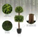 Double ball-shaped 40-inch artificial boxwood topiary tree with dense leaves and lifelike trunk, perfect for patio.