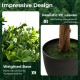 Double ball-shaped artificial boxwood topiary tree with realistic PE leaves and weighted base for front porch decor.