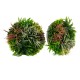 Square framed artificial foliage wall art featuring a vibrant mix of faux plants, perfect for indoor or outdoor decor.