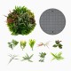 Vibrant 2 pack of square framed artificial foliage wall art with 10 faux plants, ideal for indoor and outdoor decor.