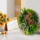 Square framed artificial foliage wall art featuring vibrant faux plants, ideal for indoor or outdoor decoration.
