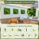 Vibrant 20" x 20" 3D hanging greenery hedge featuring 11 types of faux plants, ideal for indoor or outdoor decor.
