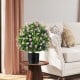 Faux boxwood topiary ball tree with purple flowers in a black pot, adding vibrant decor to any indoor setting.