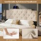 Rivet tufted beige upholstered headboard with soft sponge filling and USB ports, ideal for queen and full size beds.
