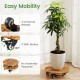 Heavy duty acacia wood rolling plant stand with 360° lockable casters, ideal for stable plant support and easy mobility.