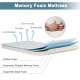 Folding guest bed with a 75 x 31.5 inch memory foam mattress, featuring a removable cover and stable steel frame for.