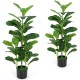 Two-pack artificial fiddle leaf fig trees in sturdy pots, featuring vibrant green leaves for indoor and outdoor decor.