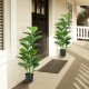 Two-pack artificial fiddle leaf fig trees in sturdy pots, perfect for indoor and outdoor decoration with vibrant green.