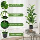 Artificial fiddle leaf fig tree in a cement pot, featuring 100 large leaves for vibrant indoor and outdoor decor.