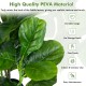 Close-up of large fiddle leaves from the 2-pack artificial fiddle leaf fig tree made of durable PEVA material for.