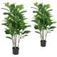 Two 51-inch artificial fiddle leaf fig trees in black pots, featuring vibrant green leaves for indoor and outdoor decor.