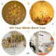 2 feet pre-lit white twig birch tree with bendable branches, ideal for indoor Christmas decoration and battery operated.