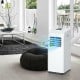 Portable 8000 BTU air conditioner with dehumidifier function, remote control, and quiet operation for effective cooling.