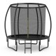 10-foot black trampoline with enclosure net, ASTM certified, features curved poles and non-slip ladder for outdoor fun.
