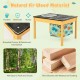 3-in-1 kids sand water activity table with removable racing tabletop and foldable storage bin for outdoor fun.
