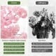 6.5 FT tall artificial cherry blossom tree with 900 pink flowers, durable polyester fabric, perfect for indoor.