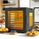 10-tray food dehydrator in black with LED display, showcasing 360° airflow for even drying and convenient preset.