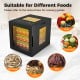 10 stainless steel trays food dryer with LED display, ideal for fruits, vegetables, jerky, and pet treats.