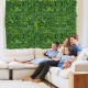Artificial hedge boxwood panel with diverse leaves, 20"x20", ideal for creating privacy screens or green wall backdrops.