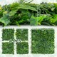 Four 20"x20" artificial hedge boxwood panels with diverse leaves, ideal for creating privacy screens or green wall.