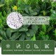 Artificial hedge boxwood panels made of high-quality PE material, sun-protective and maintenance-free for versatile.