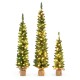 Set of 3 pre-lit artificial Christmas trees with warm white LED lights, featuring slim pencil shapes for versatile.