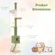 Adjustable floor-to-ceiling cat tree in green, featuring cozy condo, scratching posts, and 3-step ladder for climbing.