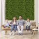 Artificial hedge boxwood panel set, 12 pieces of 20" x 20", perfect for DIY green wall backdrops indoors or outdoors.