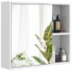 Bathroom medicine cabinet with single mirror door, white finish, featuring open and enclosed storage for versatile use.
