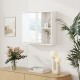 Bathroom medicine cabinet with a single mirror door, featuring open and enclosed storage compartments in white.