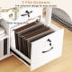 File cabinet with lock featuring two full-extension file drawers and adjustable hanging rods for A4/letter size files.