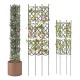 Three outdoor plant support frames in various heights, made of PE-coated metal, ideal for climbing plants and garden.