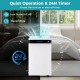 Dehumidifier with LED display, 24h timer, and low noise operation, ideal for spaces up to 4500 sq.ft.