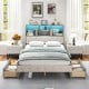 Full size bed frame with gray upholstered headboard, LED lights, and two large storage drawers for added convenience.