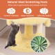 Cute monster-themed cat tower in yellow with sisal scratching post, cozy condos, and plush hanging toys for playful.