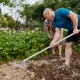 Aluminum lawn rake with long handle and 19 curved tines, ideal for loosening soil and leveling garden beds.