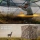 5-IN-1 detachable hunting blind with 360° visibility, camouflage pattern, and three shooting windows for effective.