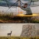 360° one-way see-through hunting blind with camouflage pattern, featuring silent windows for deer and turkey hunting.