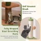 Multilevel cat tree featuring sisal scratching posts, plush perch, and self-groomer brush for active and cozy play.