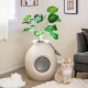 Smart Plant Cat Litter Box in beige with electronic odor removal, featuring an artificial plant and pebbles for home.