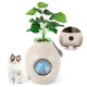 Smart Plant Cat Litter Box in beige with electronic odor removal, featuring an artificial plant and soothing light.