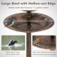 Large pedestal bird bath with hollow-out edge, holds 1.3 gallons of water for birds, features solar light and flower.