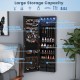 Lockable wall-mounted jewelry armoire in black with LED lights, featuring 120 earring slots and 6 storage drawers.